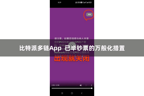 比特派多链App 已毕钞票的万般化措置