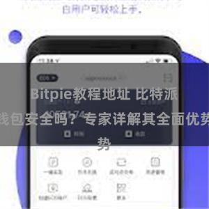 Bitpie教程地址 比特派钱包安全吗？专家详解其全面优势