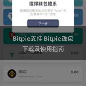 Bitpie支持 Bitpie钱包下载及使用指南