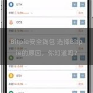 Bitpie安全钱包 选择Bitpie的原因，你知道吗？