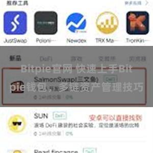 Bitpie官网 快速上手Bitpie钱包，多链资产管理技巧