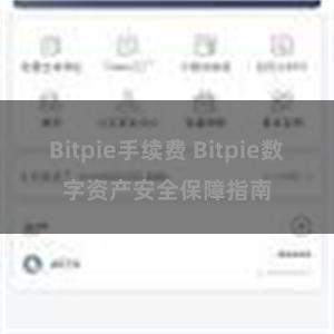 Bitpie手续费 Bitpie数字资产安全保障指南