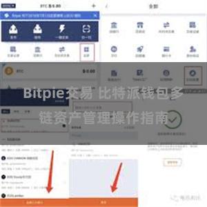 Bitpie交易 比特派钱包多链资产管理操作指南