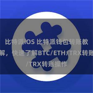 比特派iOS 比特派钱包转账教程详解，快速了解BTC/ETH/TRX转账操作