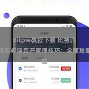 Bitpie教程下载 比特派钱包多链资产管理技巧：全面攻略