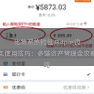 比特派热钱包 Bitpie钱包使用技巧：多链资产管理全攻略