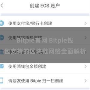 Bitpie官网 Bitpie钱包支持的区块链网络全面解析