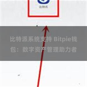 比特派系统支持 Bitpie钱包：数字资产管理助力者