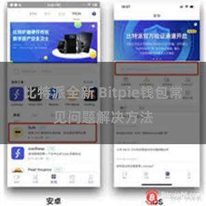 比特派全新 Bitpie钱包常见问题解决方法