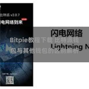 Bitpie教程下载 比特派钱包与其他钱包的区别解析