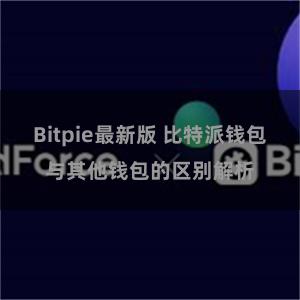 Bitpie最新版 比特派钱包与其他钱包的区别解析