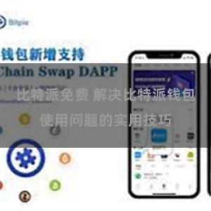 比特派免费 解决比特派钱包使用问题的实用技巧