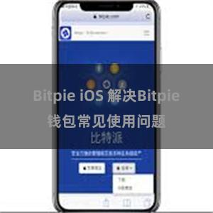 Bitpie iOS 解决Bitpie钱包常见使用问题