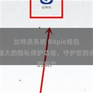 比特派系统 Bitpie钱包：强大的隐私保护功能，守护您的资产