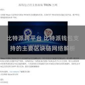 比特派跨平台 比特派钱包支持的主要区块链网络解析