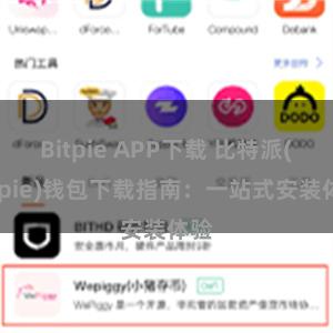 Bitpie APP下载 比特派(Bitpie)钱包下载指南：一站式安装体验