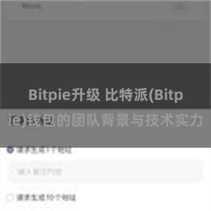 Bitpie升级 比特派(Bitpie)钱包的团队背景与技术实力