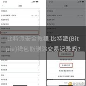 比特派安全教程 比特派(Bitpie)钱包能删除交易记录吗？