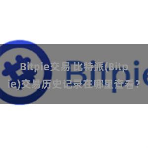 Bitpie交易 比特派(Bitpie)交易历史记录在哪里查看？