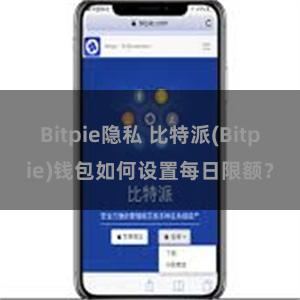 Bitpie隐私 比特派(Bitpie)钱包如何设置每日限额？