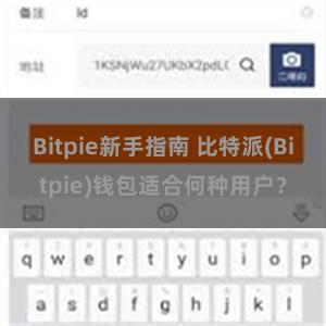 Bitpie新手指南 比特派(Bitpie)钱包适合何种用户？