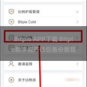 Bitpie APP下载 Bitpie数字资产钱包备份教程