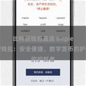 比特派钱包直连 Bitpie加密钱包：安全便捷，数字货币的护航者