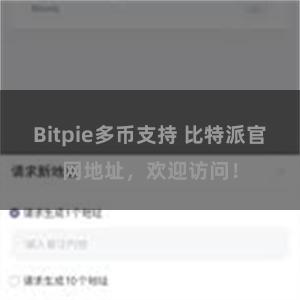 Bitpie多币支持 比特派官网地址，欢迎访问！