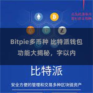Bitpie多币种 比特派钱包功能大揭秘，字以内